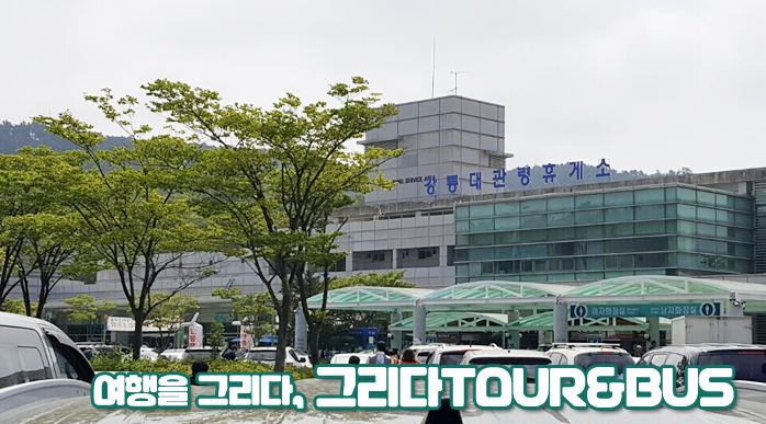 그리다투어&버스 이미지