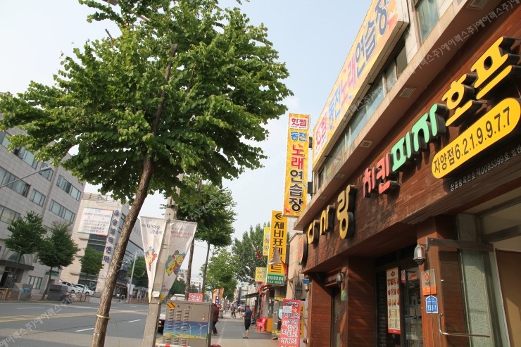 핫쨈동전노래연습장 이미지