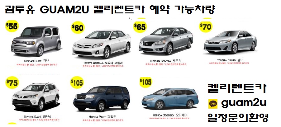 렌트카투유 이미지