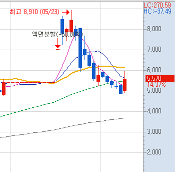 광림여행사 이미지