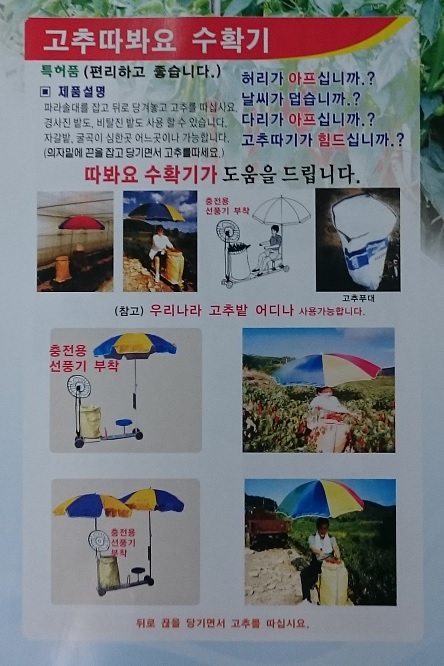 대황금산업 이미지