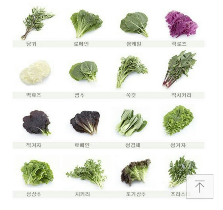 올레길웰빙한식부페 이미지