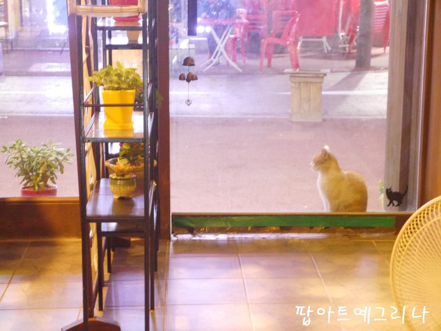 참치오일리 이미지