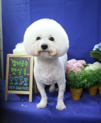 대복사실 이미지