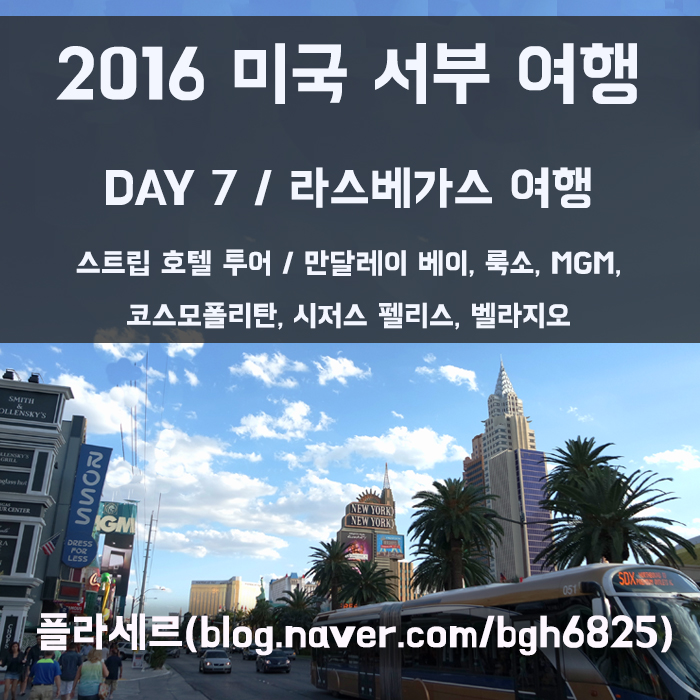 플라세르 투어 이미지