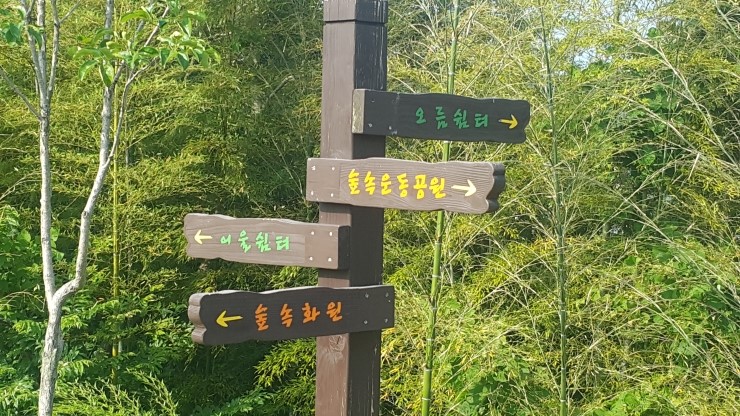 쌈지거제 이미지