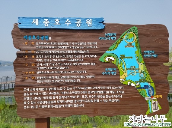 대전심리상담센터자라는나무 이미지