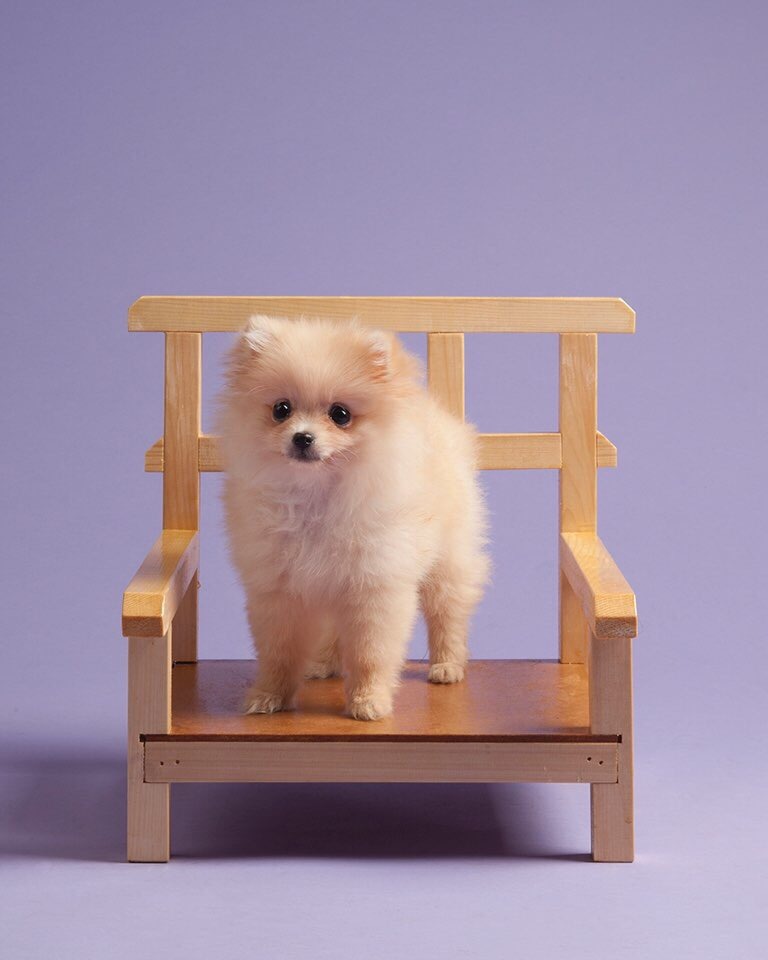 별사진관 이미지