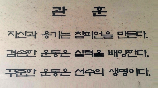 수년복싱 이미지