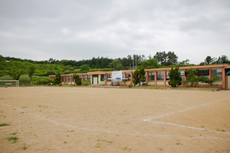 지혜사랑철학학교 이미지