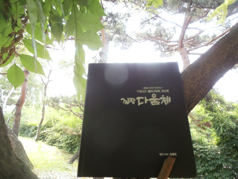 마음담은캘리그라피 이미지