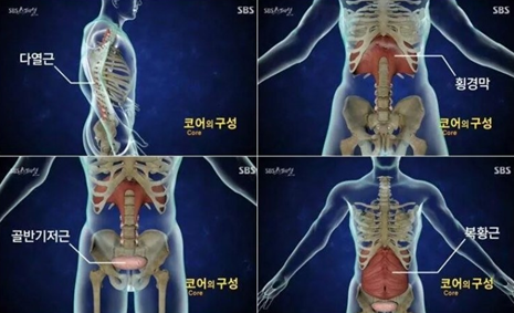 엔비코어 이미지