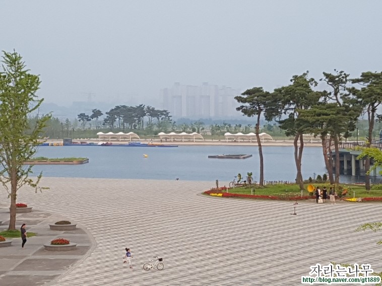 대전심리상담센터자라는나무 이미지