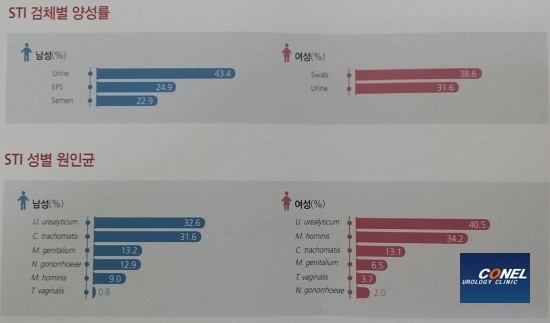 알이피씨 이미지