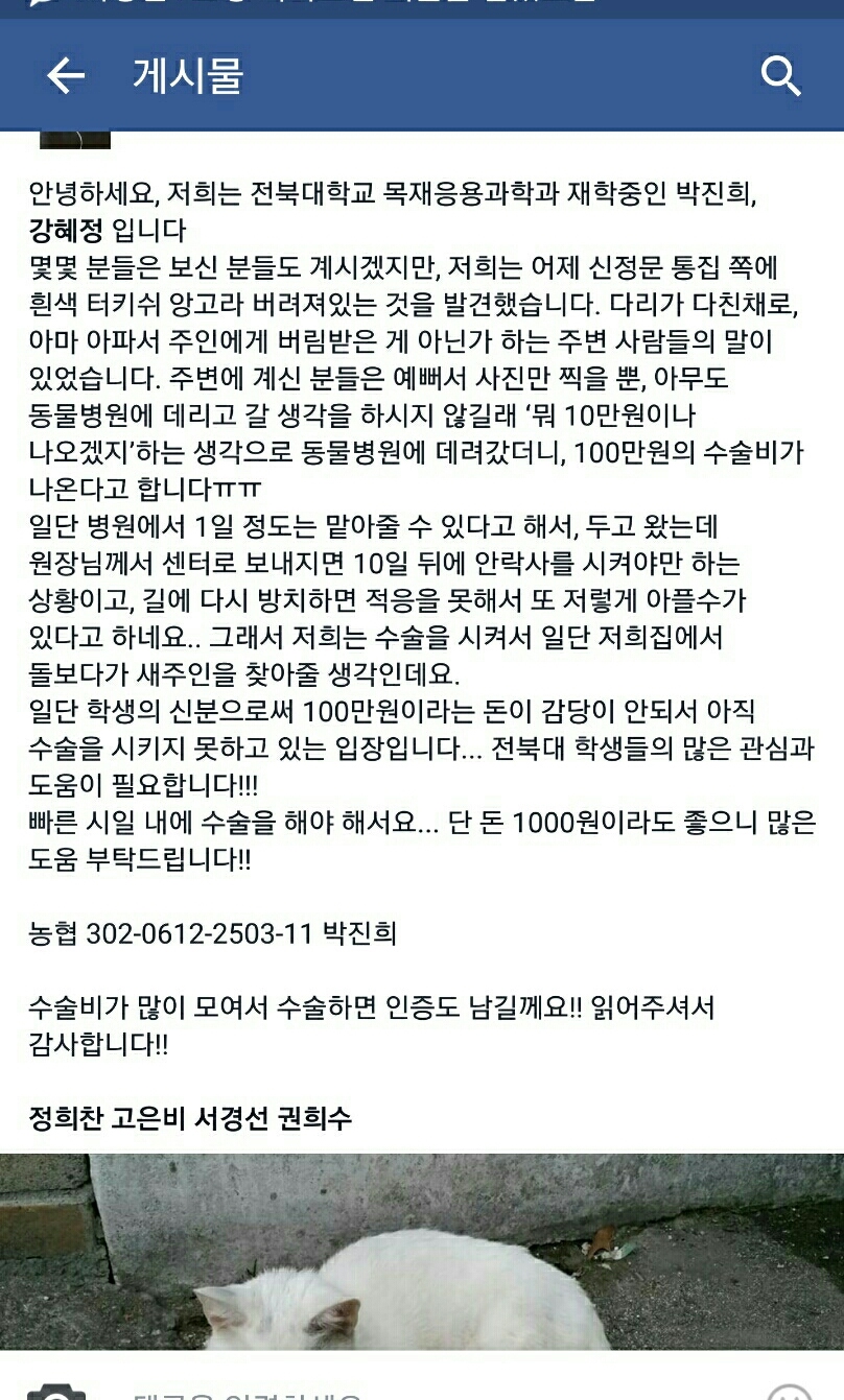 #오드아이 이미지