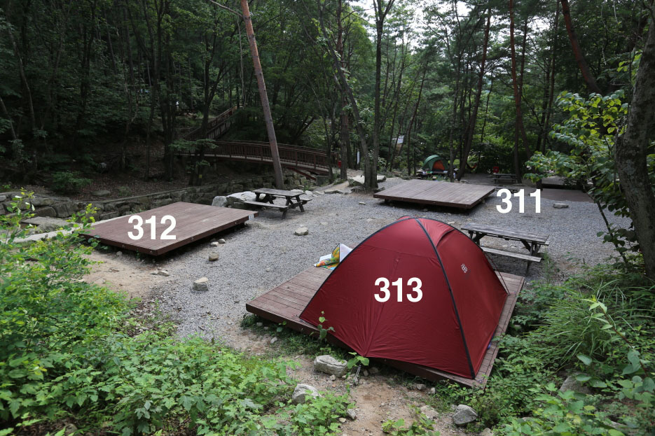 국립용화산자연휴양림 이미지