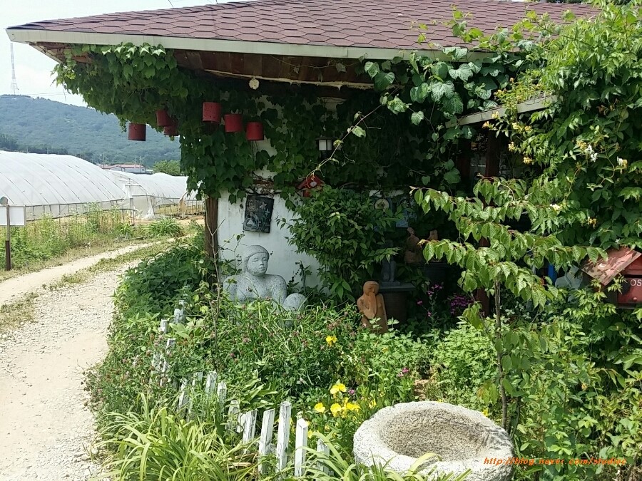 숲에서길을잃다 이미지