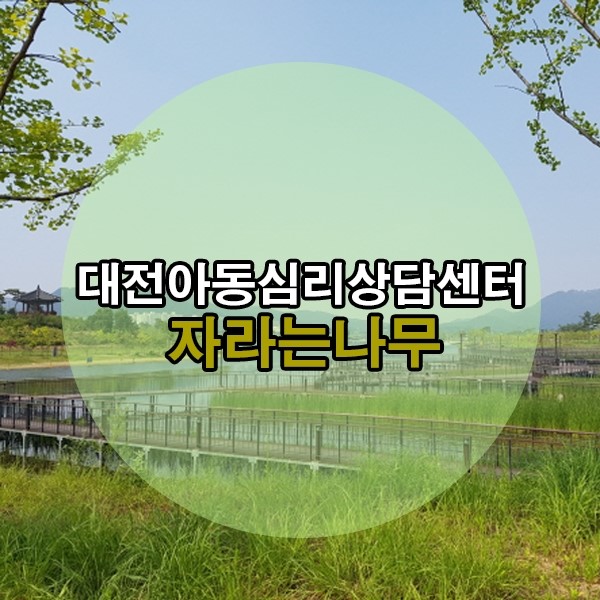 대전심리상담센터자라는나무 이미지