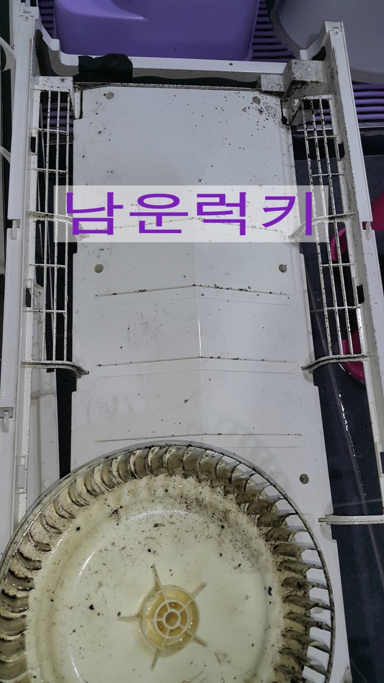 럭키크린 이미지