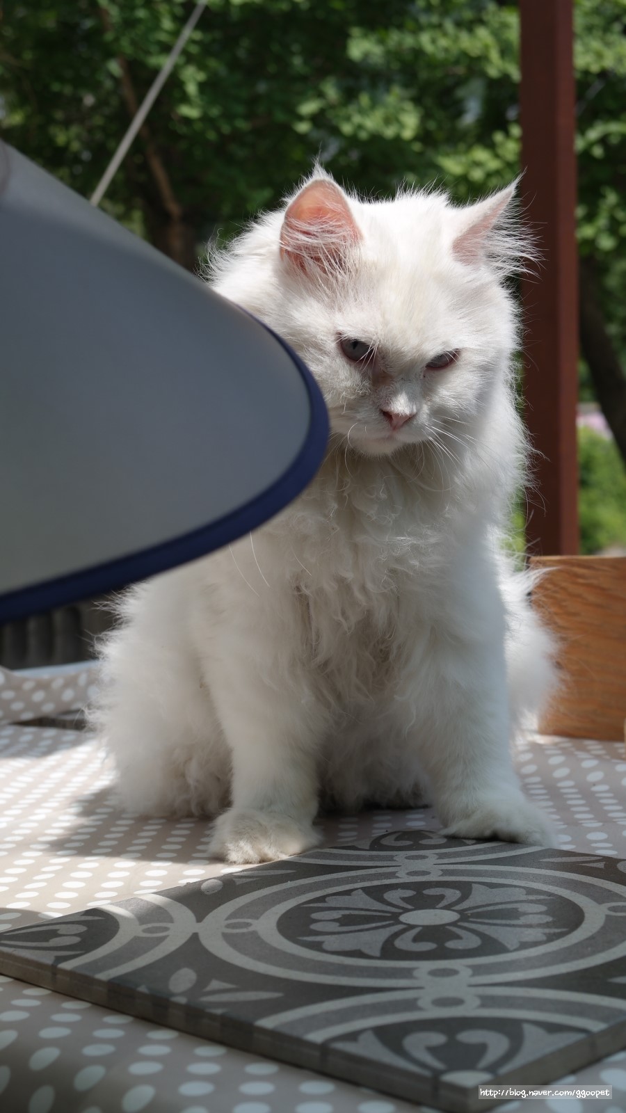 복지매점 이미지