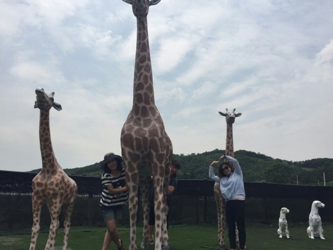 덕수레져타운 이미지