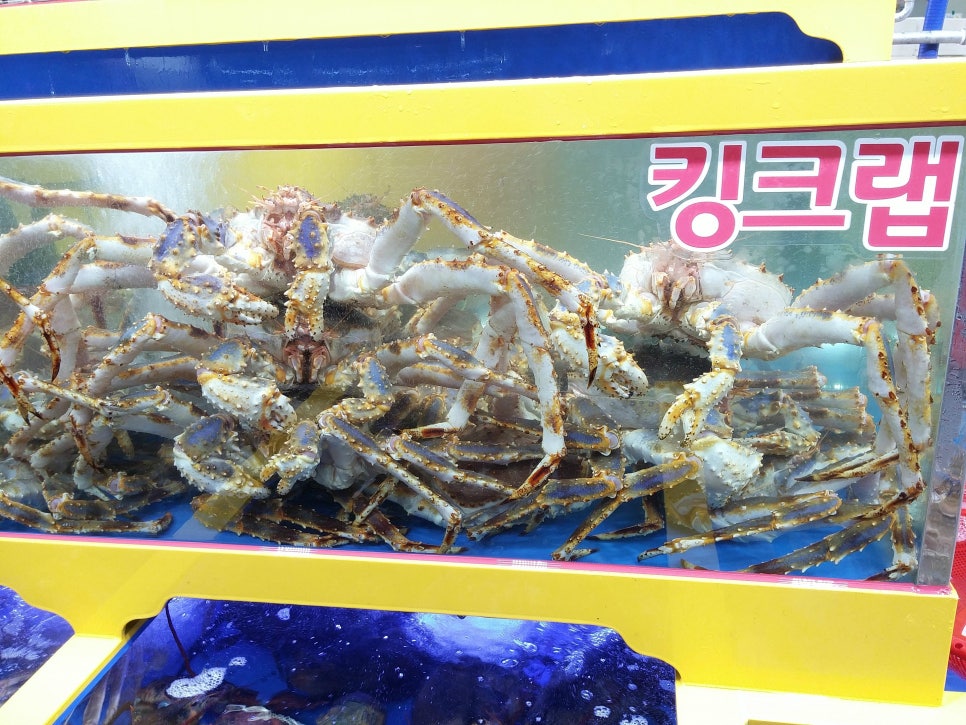 킹콩수산 이미지