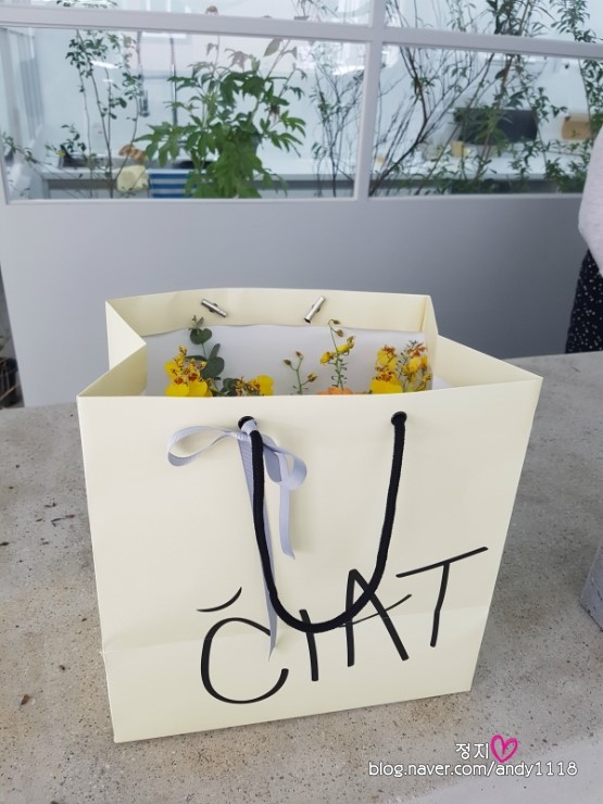 씨앝 이미지