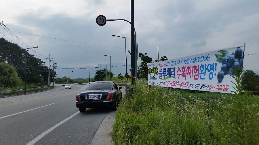 반디농원 이미지