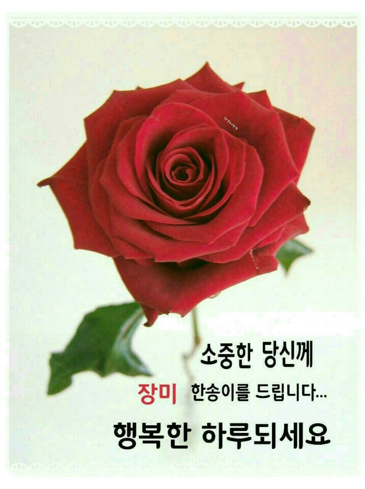 멋진하루 이미지