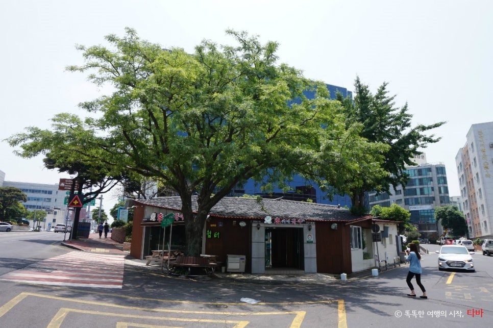 이씨네국수 이미지