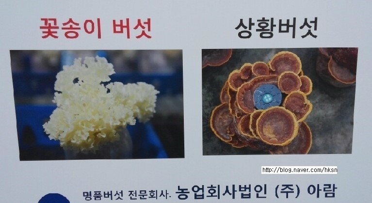 (주)아람미디어 이미지