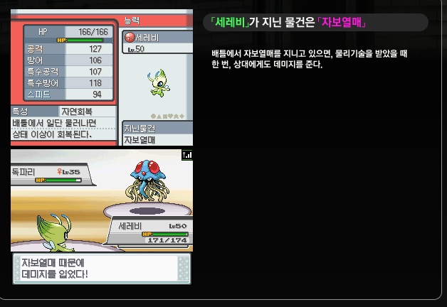 세레비 이미지