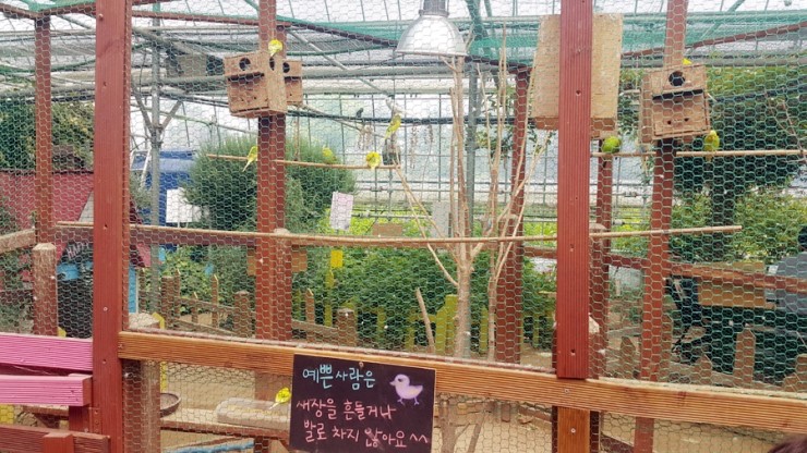 예랑농원 이미지