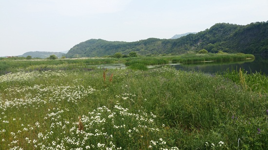 영천낚시 이미지