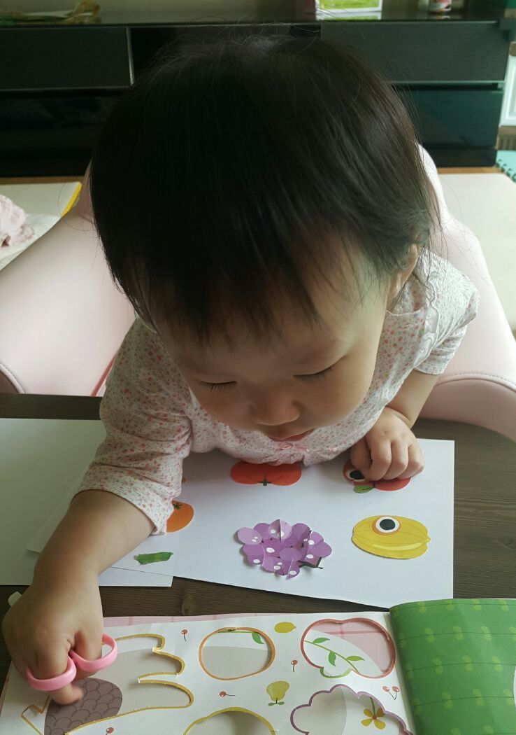 젤라또팔레트 이미지