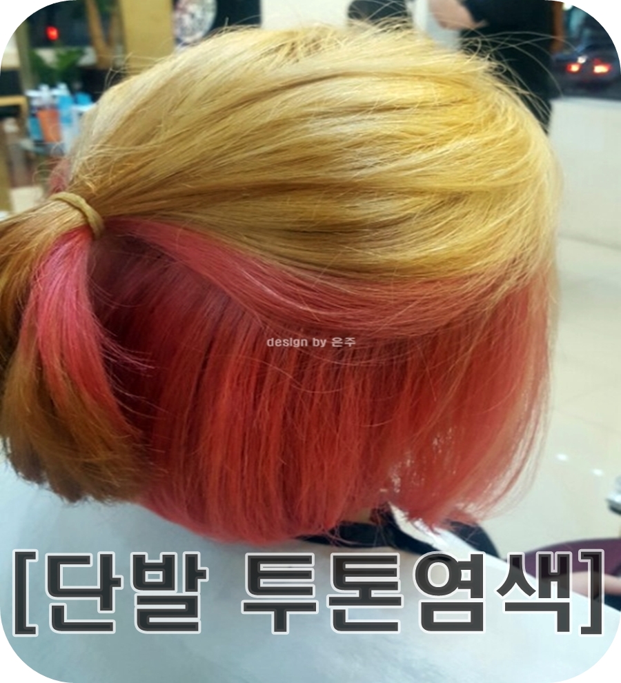 빗과가위사랑 이미지