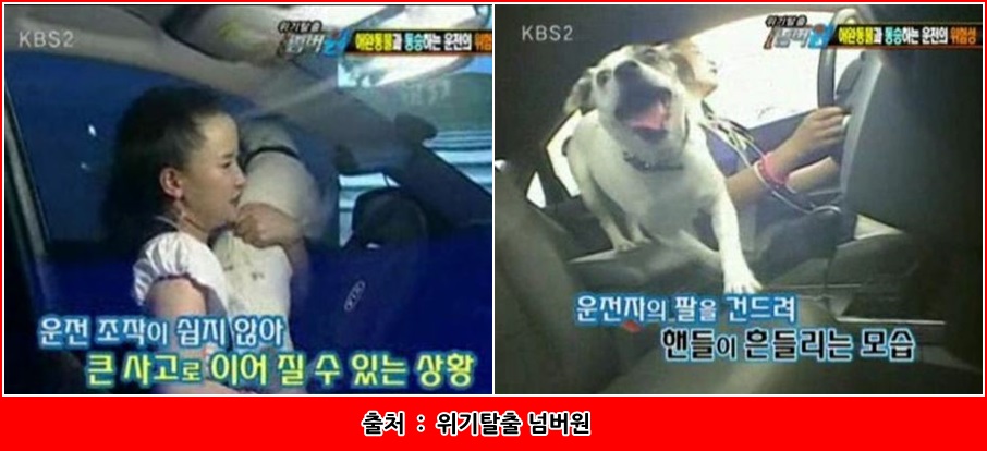 몽퍼피 이미지
