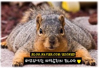 도나미트 이미지