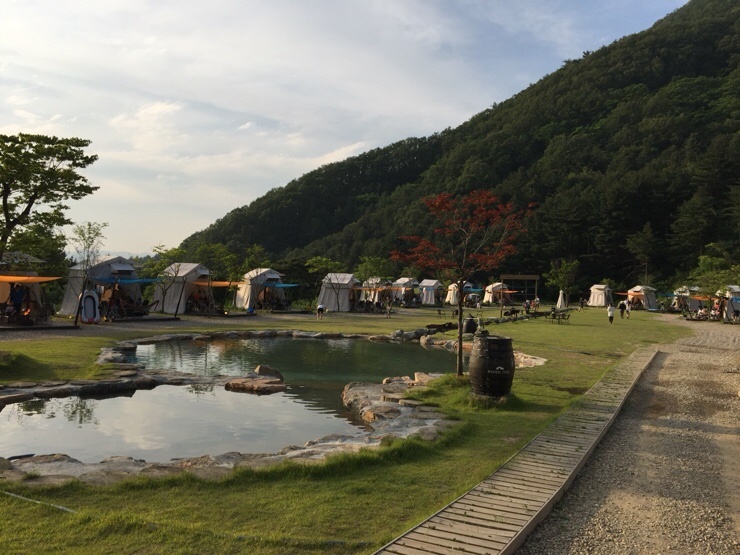 Raventree Glamping