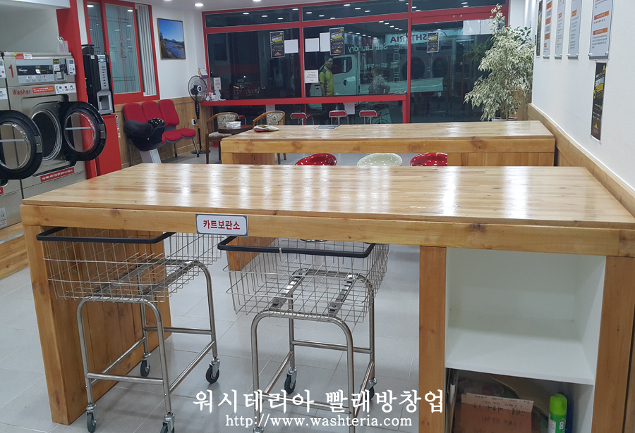 워시테리아 이미지