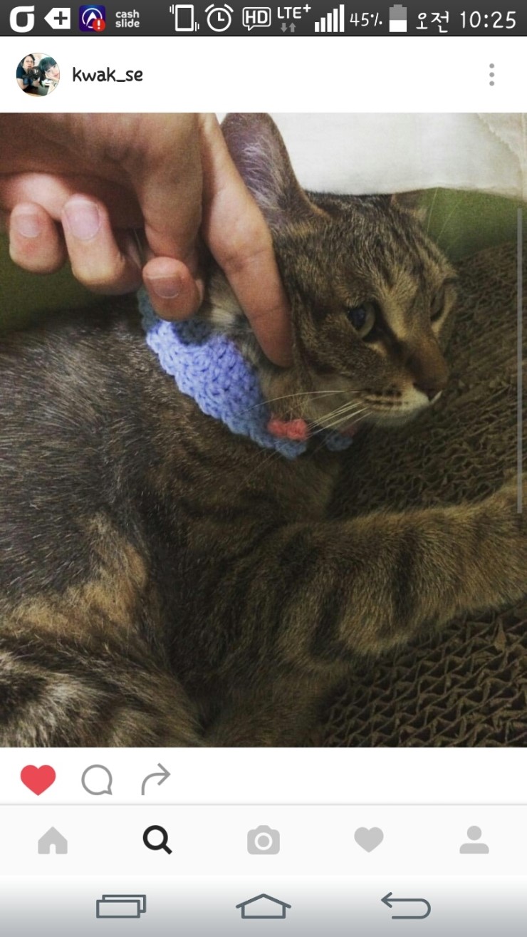 꼬메르 이미지