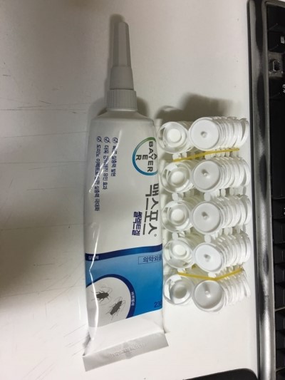 멕스포 이미지