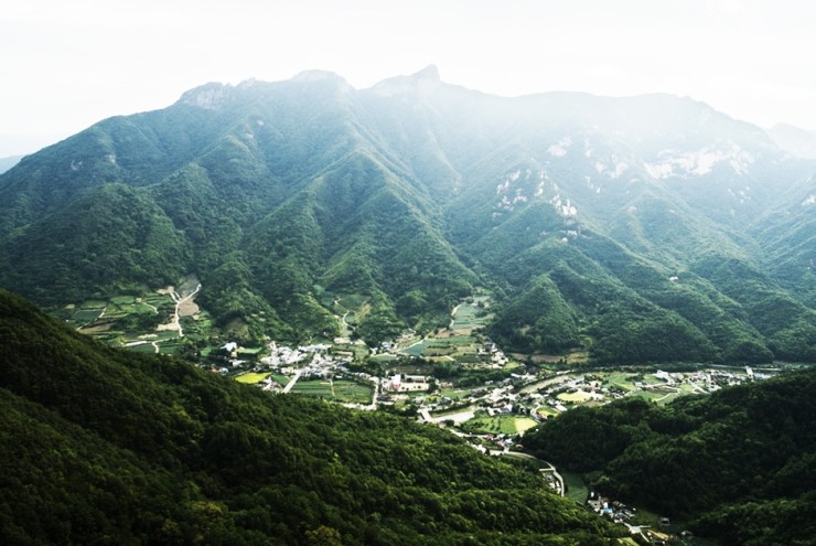 월악산특산물 이미지