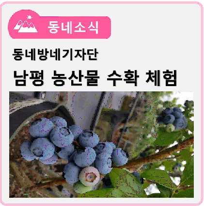 남평체험장 이미지