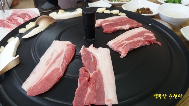 선사시대꺼먹돼지 이미지