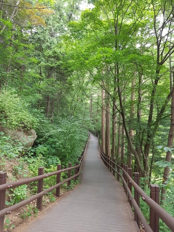 청계산 4코스 이미지