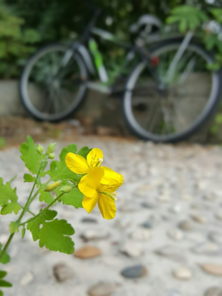 열심독서실 이미지