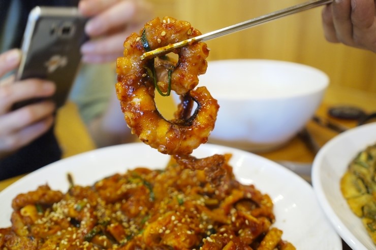낙지세상 이미지