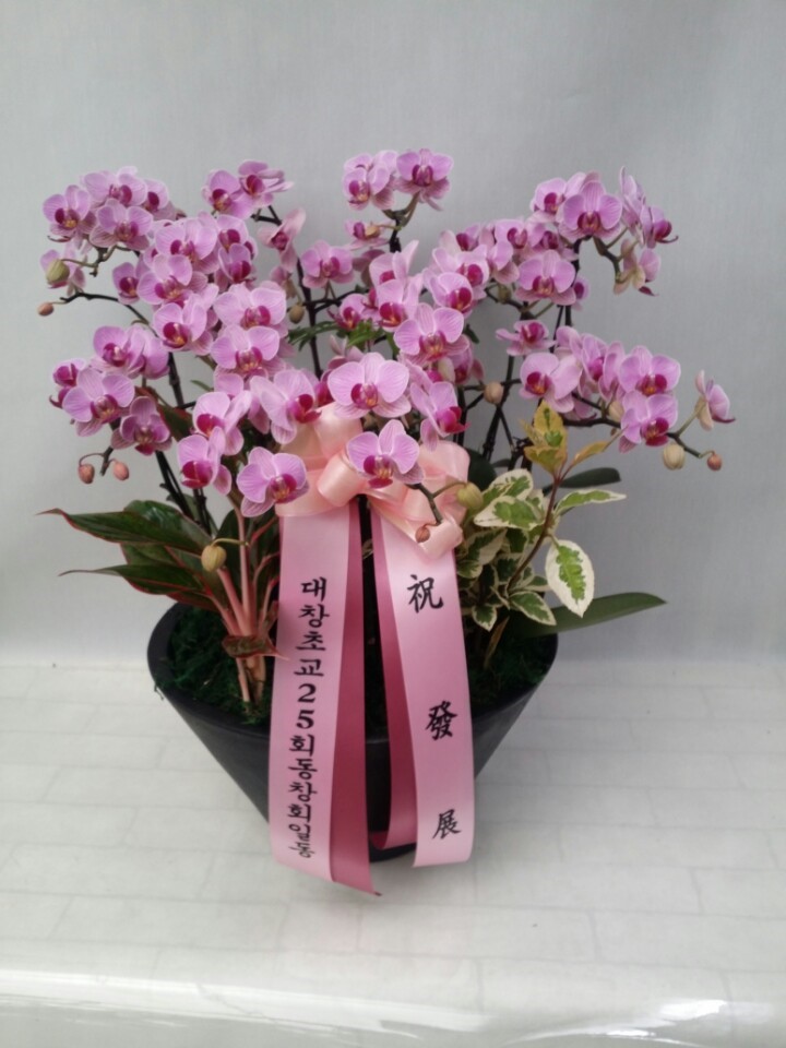 적성산단한식뷔페 이미지
