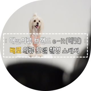 어메이징스튜디오 이미지